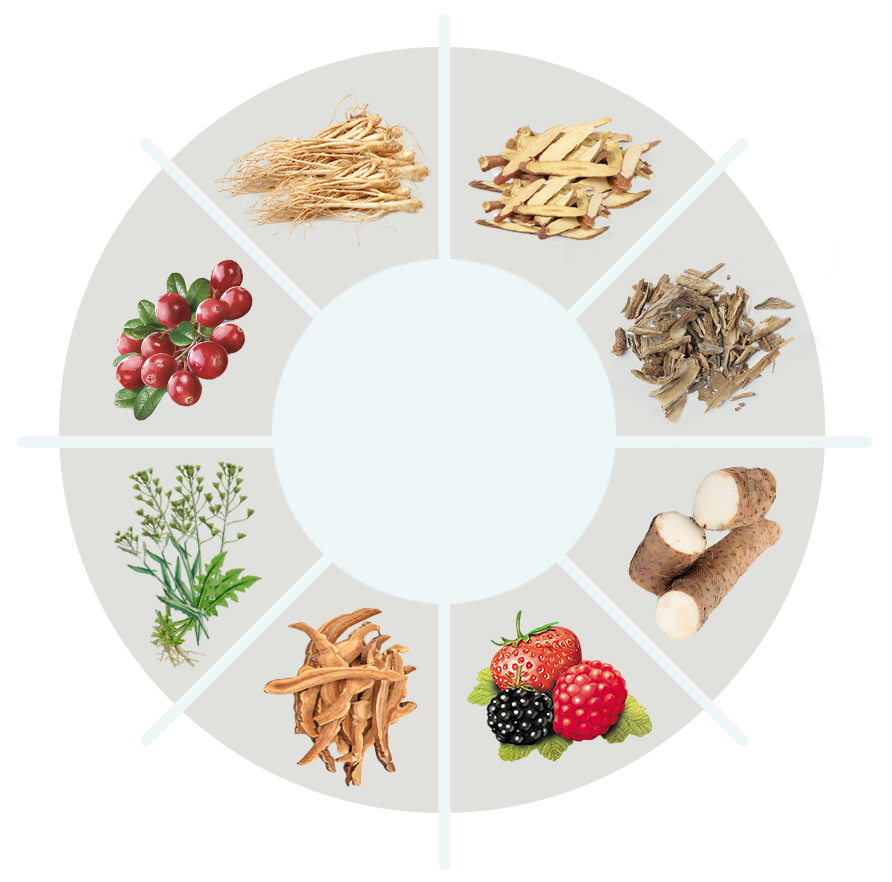 WeGo6 ingredient wheel